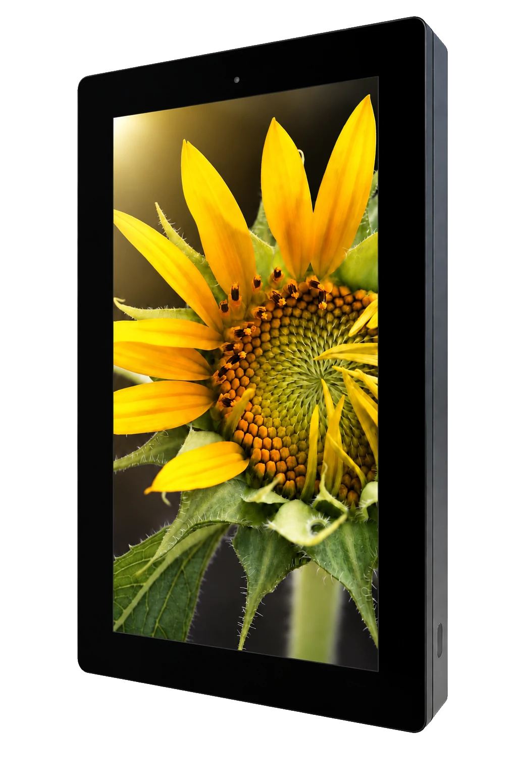 Wall Vertical Outdoor 43″ – exteriér digitální panel se slunečnicí na displeji