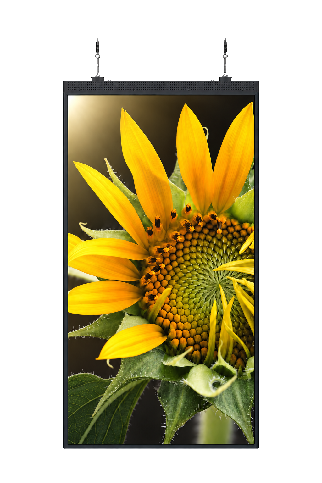 Slim Double Side 55″ — celé vyobrazení