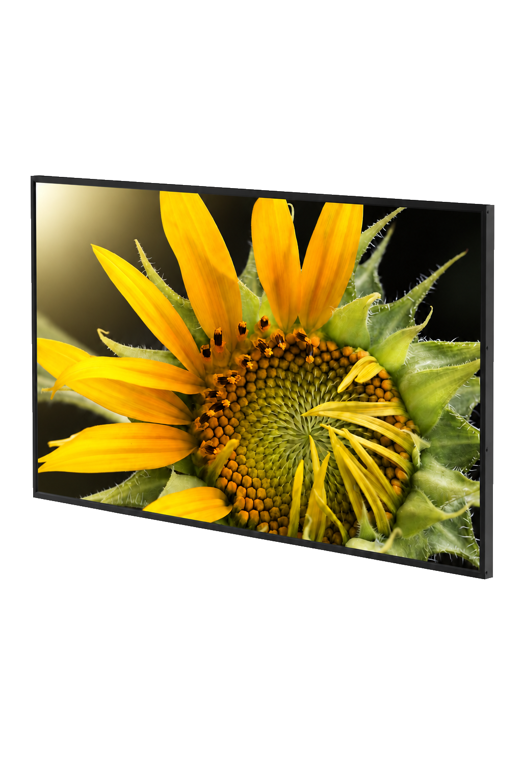 TV displej 43″ — celé vyobrazení