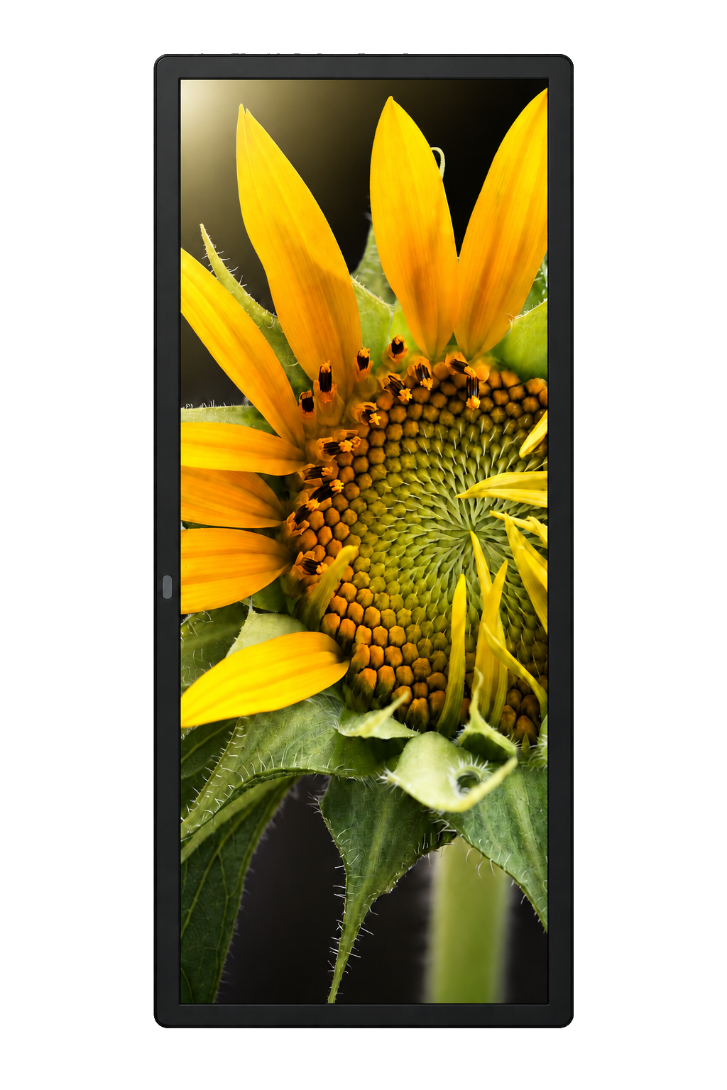 Wall Vertical 43″ — celé vyobrazení